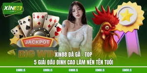 xin88-da-ga-top-5-giai-dau-dinh-cao-lam-nen-ten-tuoi